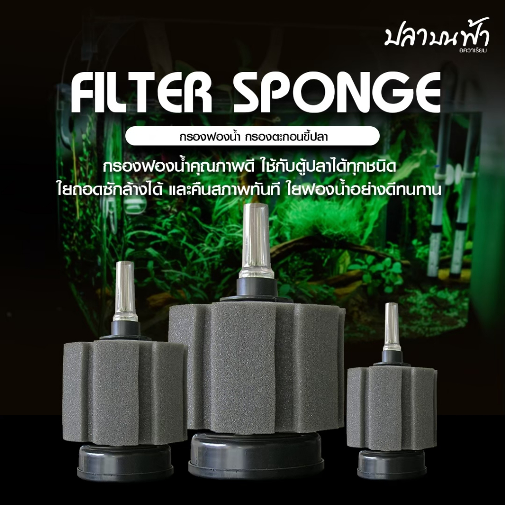 กรองฟองน้ำ กรองฟองน้ำแบบต่อซิเจน ช่วยเป็นที่อยู่ของแบคทีเรีย ดูดสิ่งสกปรกมาไว้ที่กรอง กำจัดของเสียได้ดี