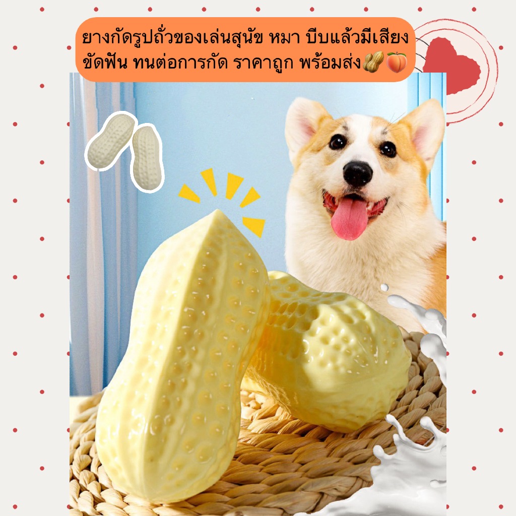 AL-1204 ยางกัดรูปถั่วของเล่นสุนัข หมา  บีบแล้วมีเสียง ขัดฟัน ทนต่อการกัด ราคาถูก พร้อมส่ง🥜🍑