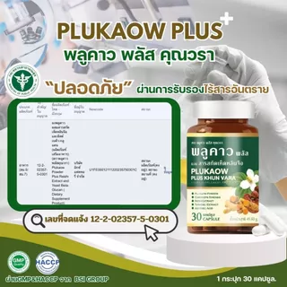 (โปรเดือน 8.8.) ส่งฟรี(1แถม1) Plukaow Plus Khun vara พลูคาว พลัส คุณวรา เสริมภูมิคุ้มกัน