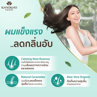 Khaokho Talaypu เขาค้อทะเลภู ครีมนวดผม สูตรว่านหางจระเข้และที ทรี ช่วยเติมความชุ่มชื่น (280 มล.)