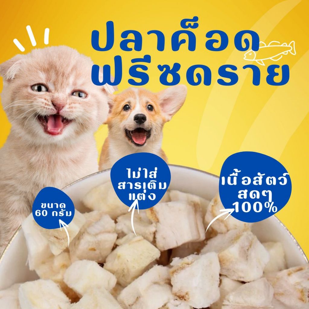 ปลาค็อดฟรีซดราย 60g. Cod Fish เกรดพรีเมี่ยม ใช้เนื้อปลาคัดเกรด ไม่ใช้เศษหนัง มาอัด ขนมฟรีซดรายแมว สุนัข เนื้อสัตว์100%