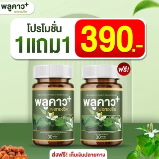 Munjai Plukaow Plus พลูคาว พลัส พ่อทองชิด ผลิตภัณฑ์เสริมอาหารสมุนไพร ช่วยดูแลสุขภาพผิว 30 แคปซูล