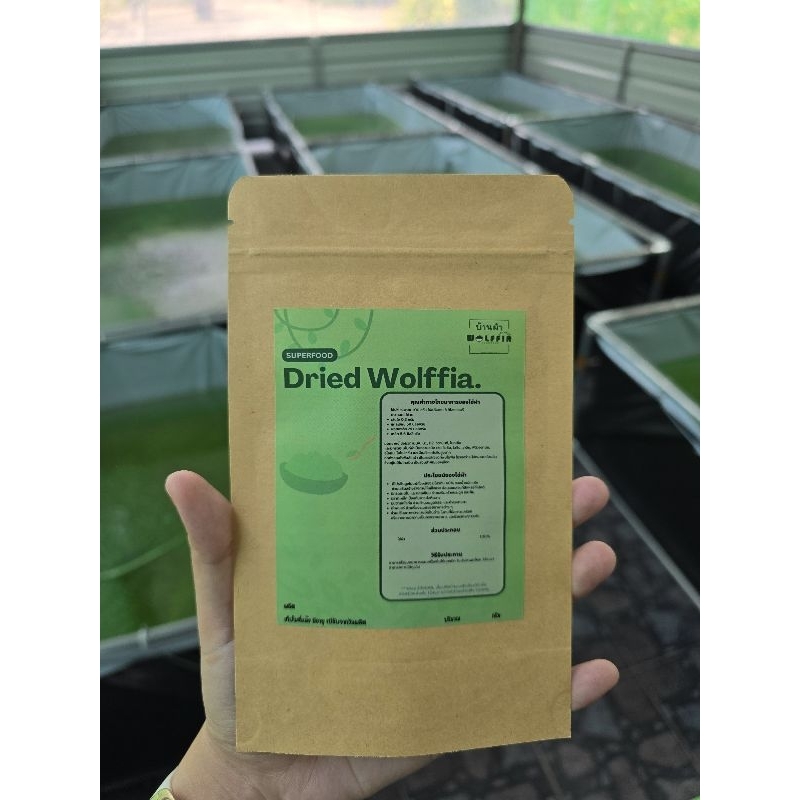 ไข่ผำอบแห้ง wolffia เลี้ยงในระบบกึ่งปิด ออแกนิก