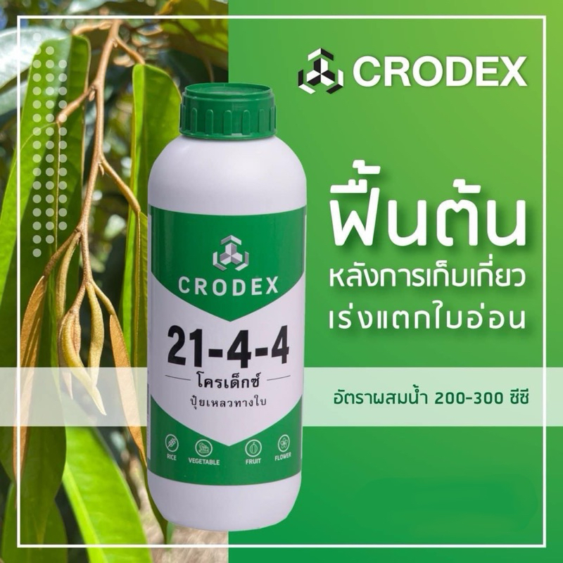 โครเด็กซ์21-4-4 บำรุงต้นใบ เร่งการเจริญเติบโตของพืช ขยายลำต้น ใบเขียว ใบและยอดสมบูรณ์แข็งแรง