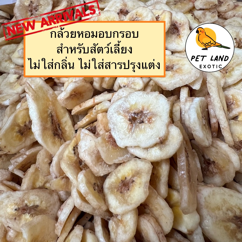 Banana Chips กล้วยหอมทองอบกรอบ สำหรับสัตว์เลี้ยง แบ่งขาย 50g-200g