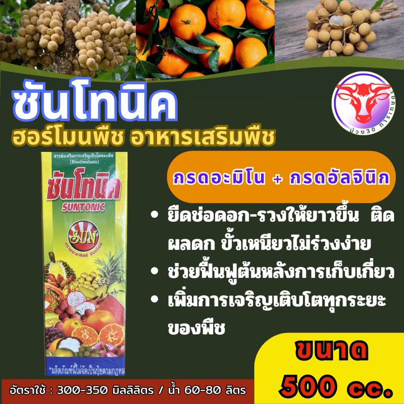 ✅ ฮอร์โมนพืช ซันโทนิค เน้นขั้วเนียว  (เร่ง+กระตุ้นพืชโตเร็ว 100-500cc)