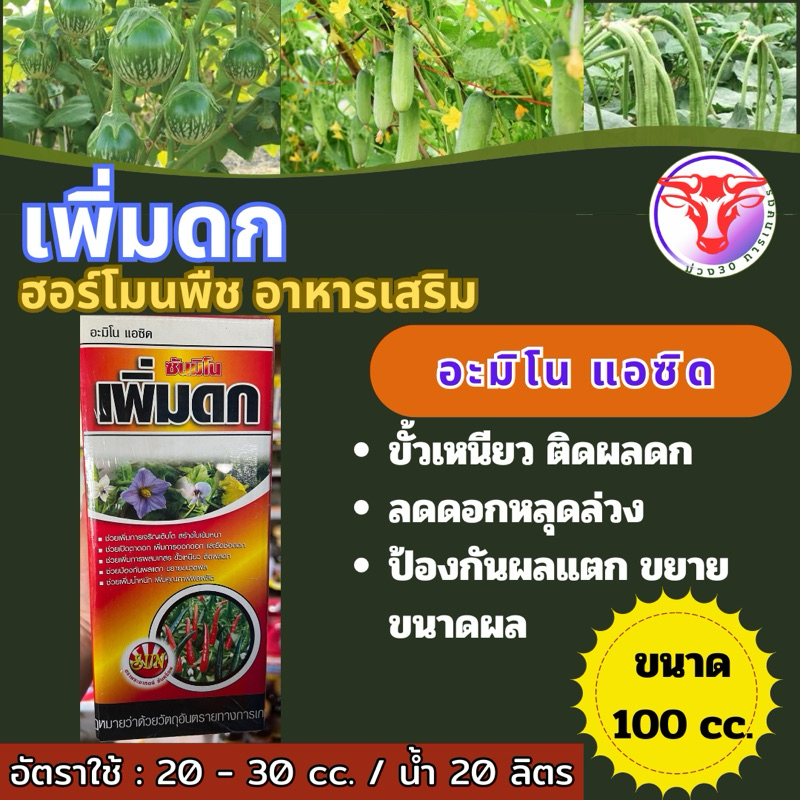 ✅ ฮอร์โมนพืช ซันมิโน เพิ่มดก ขั้วเหนียว ขยายผล ขนาด 100-500-1,000 ซีซี