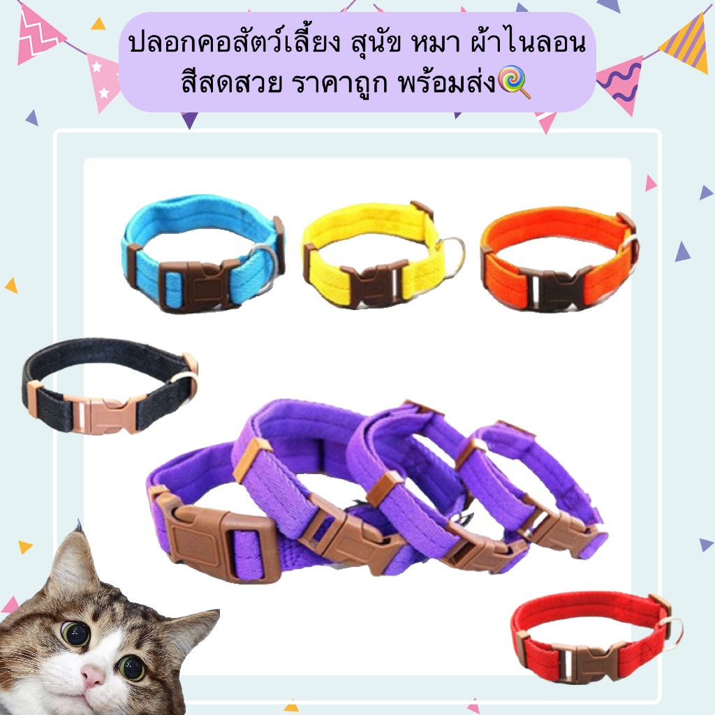 BN-1214 ปลอกคอสัตว์เลี้ยง สุนัข หมา แมว  ผ้าไนลอนเกรดดี สีสดใส ทนทาน ราคาประหยัด พร้อมส่ง! 🐾🦮🐱