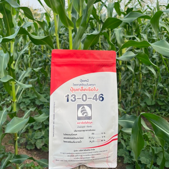 ปุ๋ยเกล็ด 13-0-46 เรือใบ เร่งการเจริญเติบโต เพิ่มแป้งน้ำตาล บำรุงผล ขนาด 1 กก.