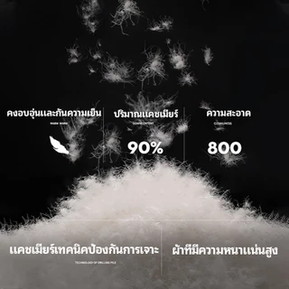 【ไม่ทรุด ใช้ได้ 10 ปี】Hilton หมอนโรงแรม หมอน เลือกได้ 6 สี 1000g นุ่มนวลไม่ยุบ ป้องกันสันหลังคอ หมอนหนุน