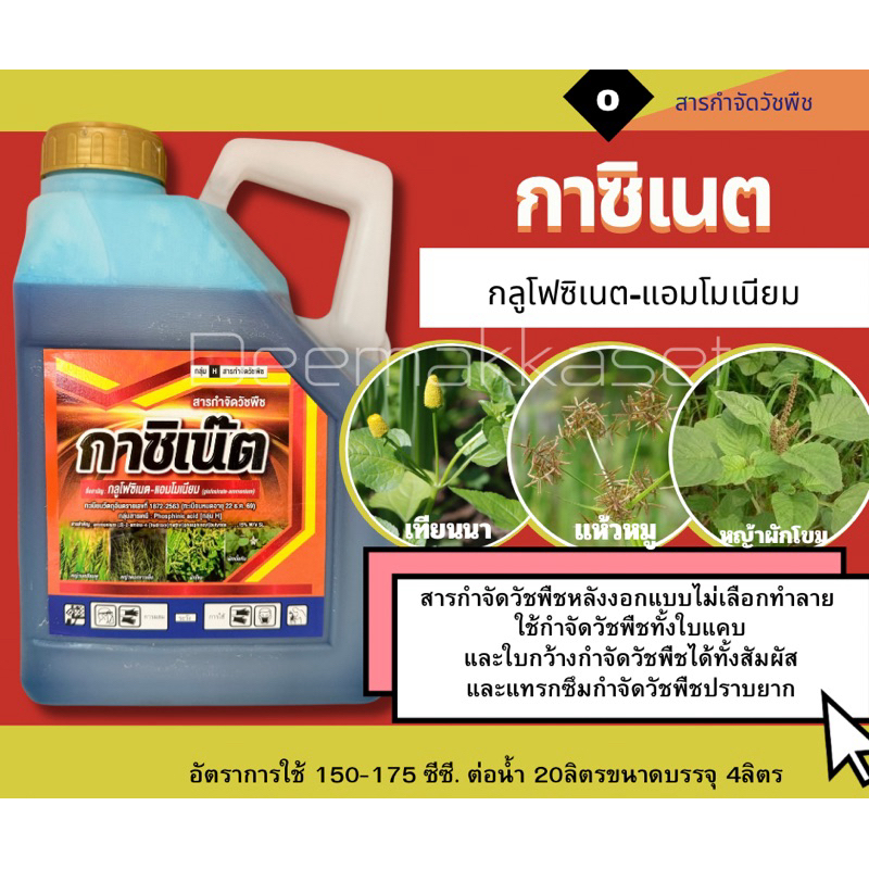 กาซิเนต กลูโฟซิเนต-แอมโมเนียม ยาเก็บหญ้าแบบเผาไหม้กึ่งดูดซึม