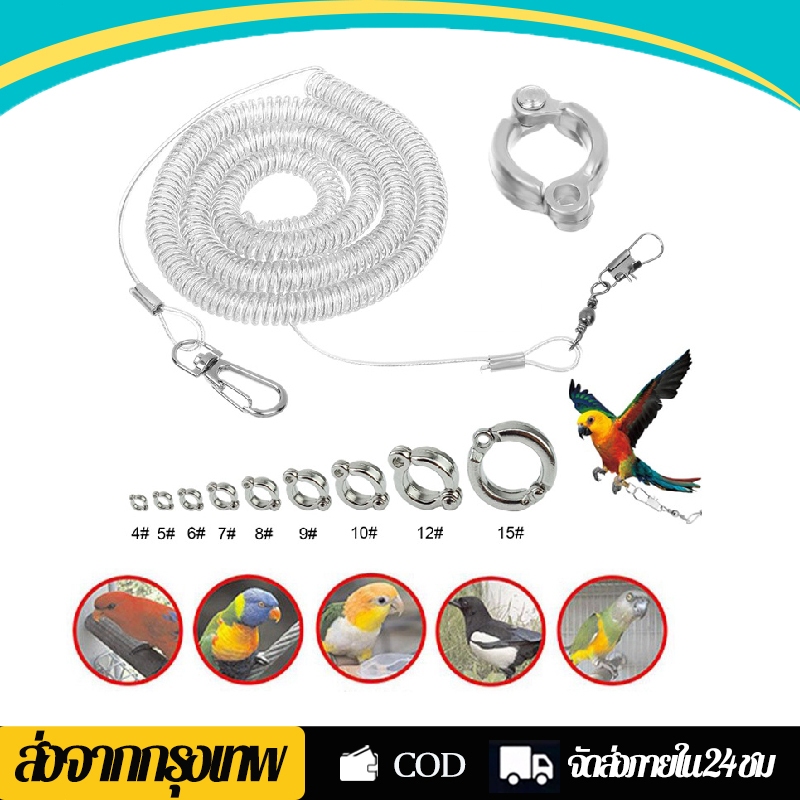 สายจูงนก 3 เมตร สายจูงนกแก้ว​ เชือกจูงนก แถมห่วงเปิด ห่วงขานก ฟอพัส​ เลิฟเบิร์ด​ ค๊อกคาเทล