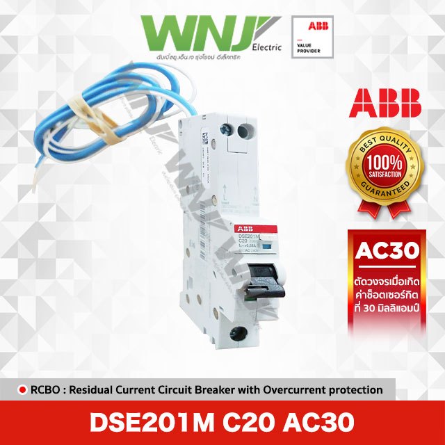 RCBO รุ่น DSE201M ( 1 Pole ) 20A