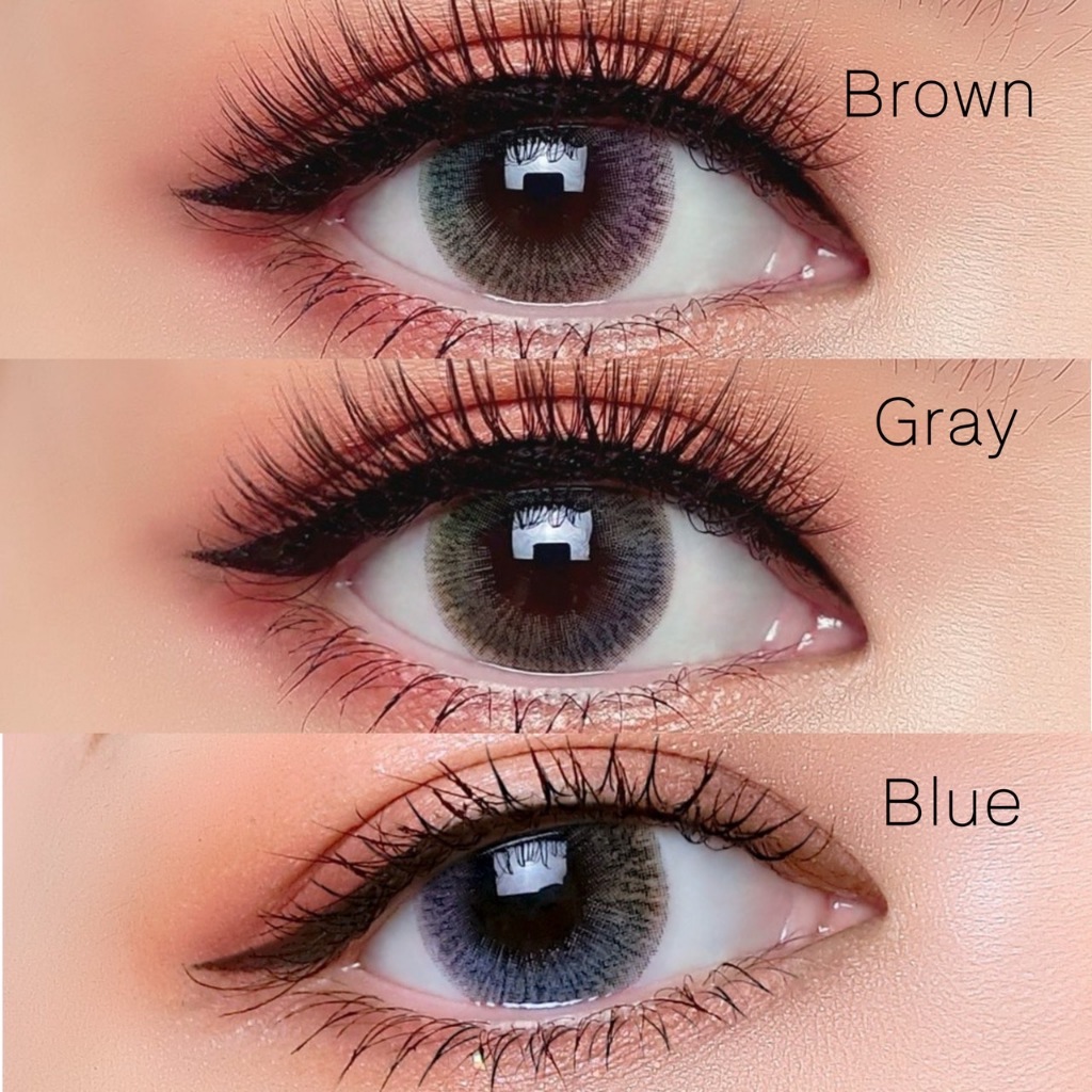 Blister : Wonderland สีเทา สีน้ำตาล สีฟ้า เลนส์กล่อง มาใหม่ คอนแทคเลนส์ Dream color1 Gray Brown Blue