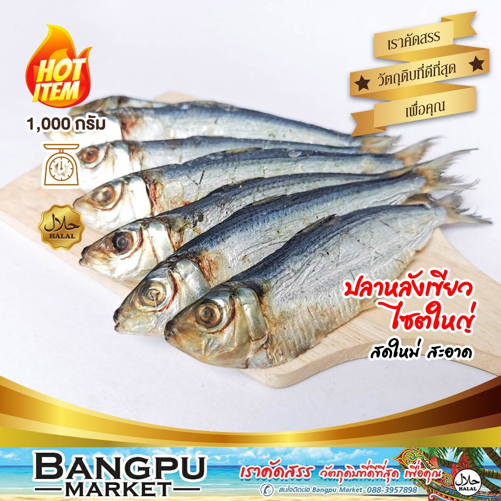 🐟 ปลาหลังเขียวใหญ่ ถอดเกล็ด ตากแห้ง 1 kg. ปลาสองแดด ไร้เกล็ด  ขนาดใหญ่ Tuyo Dried fish (ปลาหลังเขียวเค็ม ปลาไม่เค็มมาก