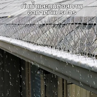 หนามกันนก กันนกเกาะ ยาวเส้นละ 50 ซม. หนาม 20 คุ่ กันนกพิราบ อุปกรณ์ไล่นก ไล่นกพิราบ หนามไล่นก