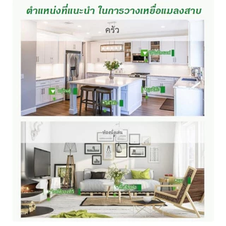 ไม่มีแมลงสาบ 3 ปี เหยื่อกำจัดแมลงสาบ กําจัดแมลงสาบ ยากําจัดแมลงสาบ ไล่แมลงสาบ ปลอดภัยสำหรับมนุษย์และสัตว์