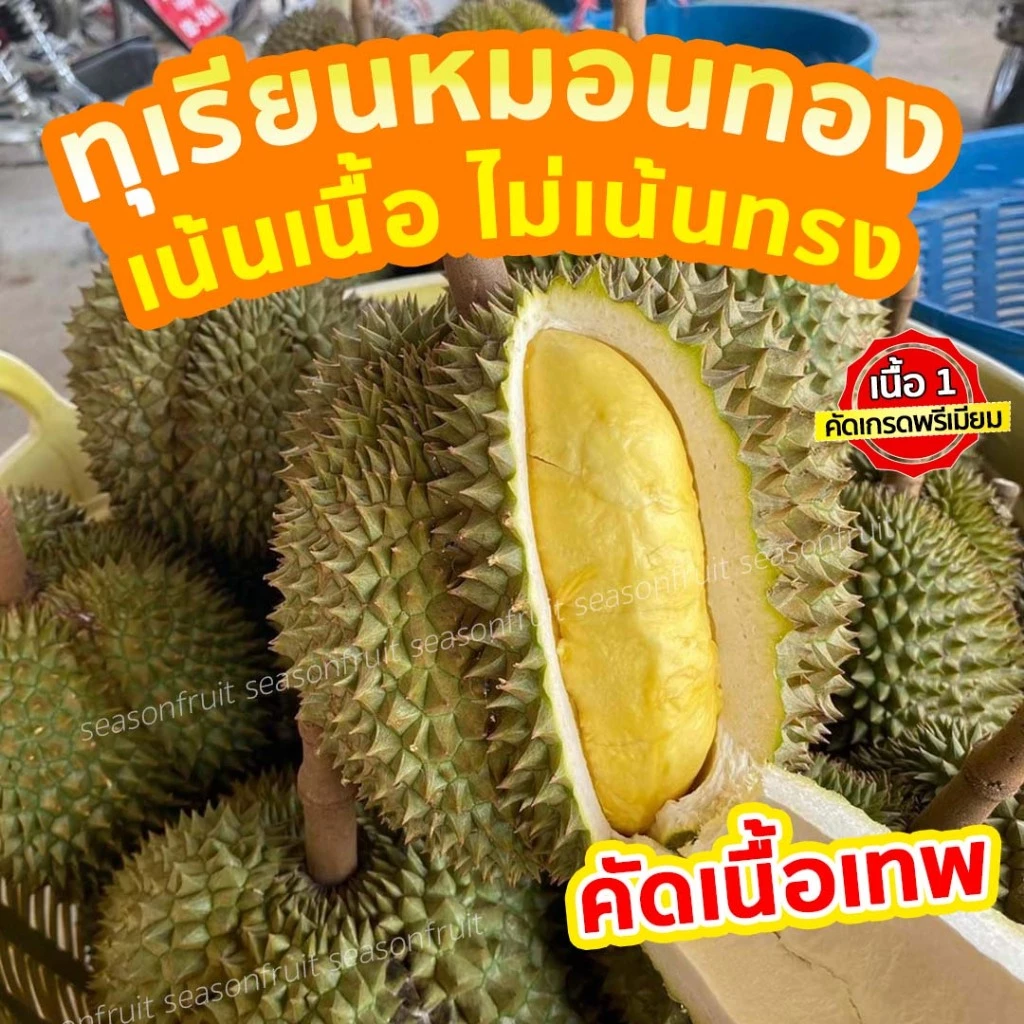 ค่าส่งถูกที่สุดร้านช่วยจ่าย ยอดขายเยอะที่สุดทุเรียนหมอนทอง คัดเนื้อเทพไม่เน้นทรง เนื้อเหลือง เนื้อตลาดที่คนไทยกิน