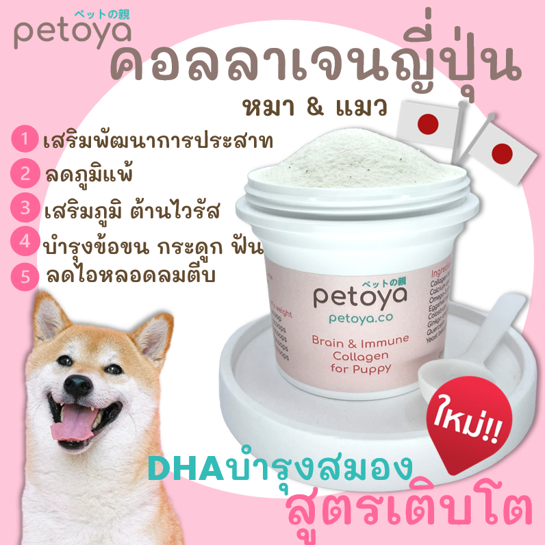 Petoya คอลลาเจนญี่ปุ่น สูตรเติบโต เสริมพัฒนาการ สำหรับสุนัขและแมวอายุ 2 เดือนถึง 5 ปี