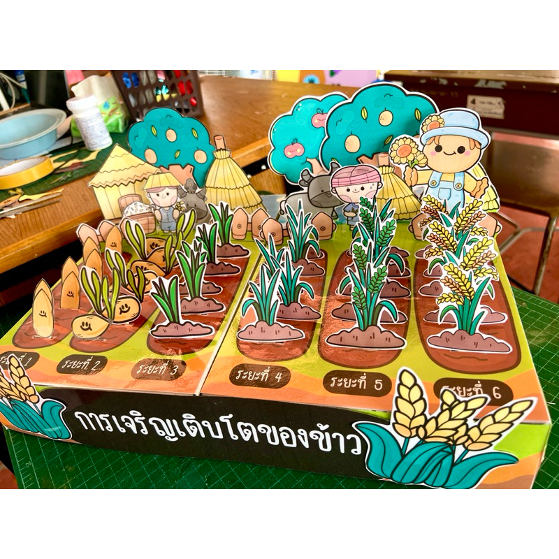 สื่อปันสุข โมเดลเกมการศึกษา เรื่องการเจริญเติบโตของข้าว