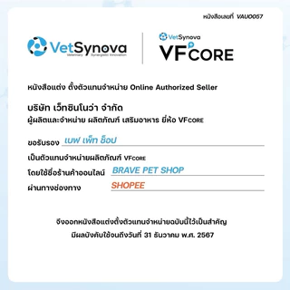 ขนมแมวเลีย VFcore ไลซีน, บำรุงเลือด, บำรุงข้อต่อ, วิตามินรวม และ บำรุงไต ขายแบ่งเป็นซอง 🔥โปรดอ่านรายละเอียดสินค้า🔥