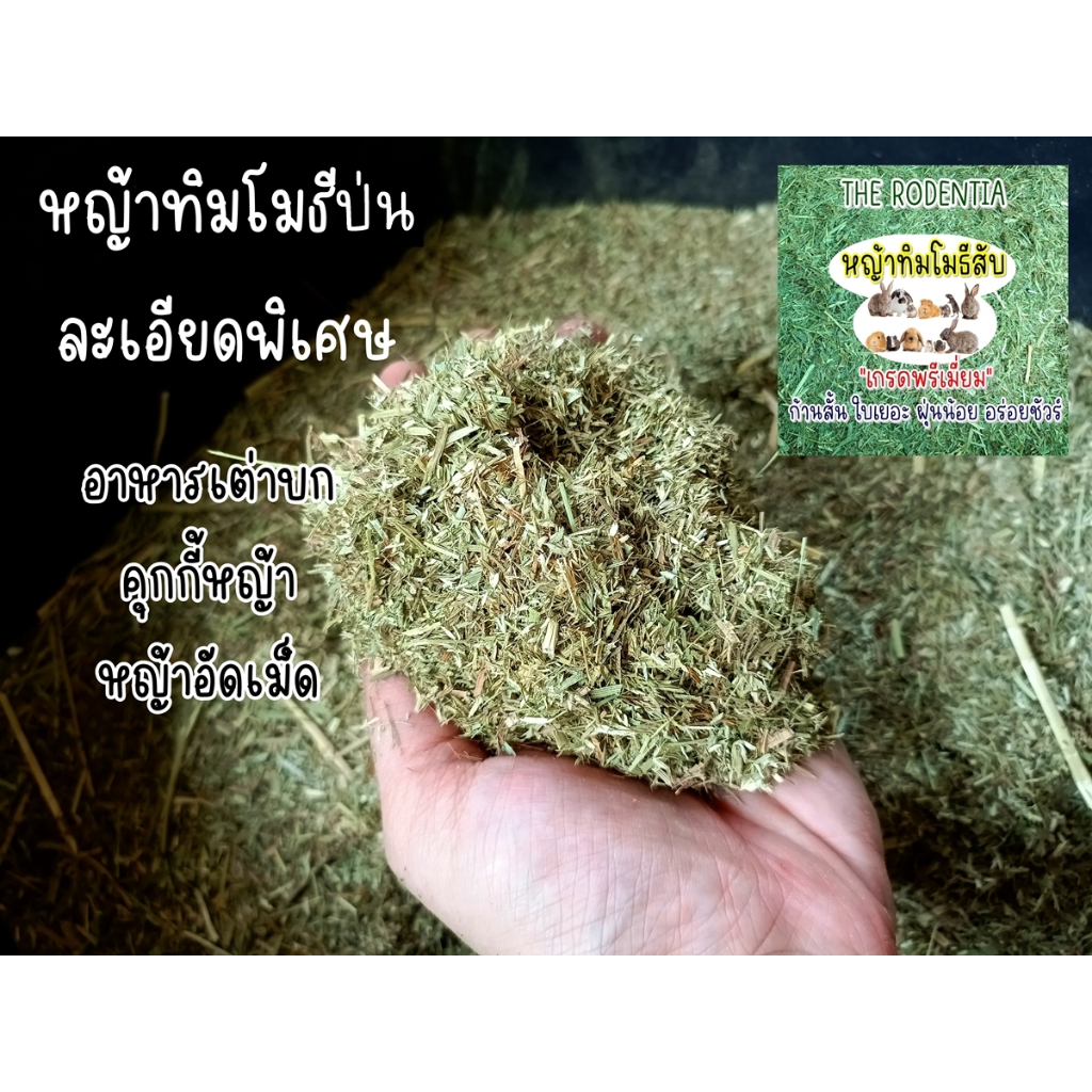 **หญ้าเต่าพร้อมส่ง** หญ้าทิมโมธีป่น/หญ้าทิมป่น/ทิโมธีป่น/ผงทิมป่น สำหรับอาหารเต่า/ออเดอร์วันต่อวัน