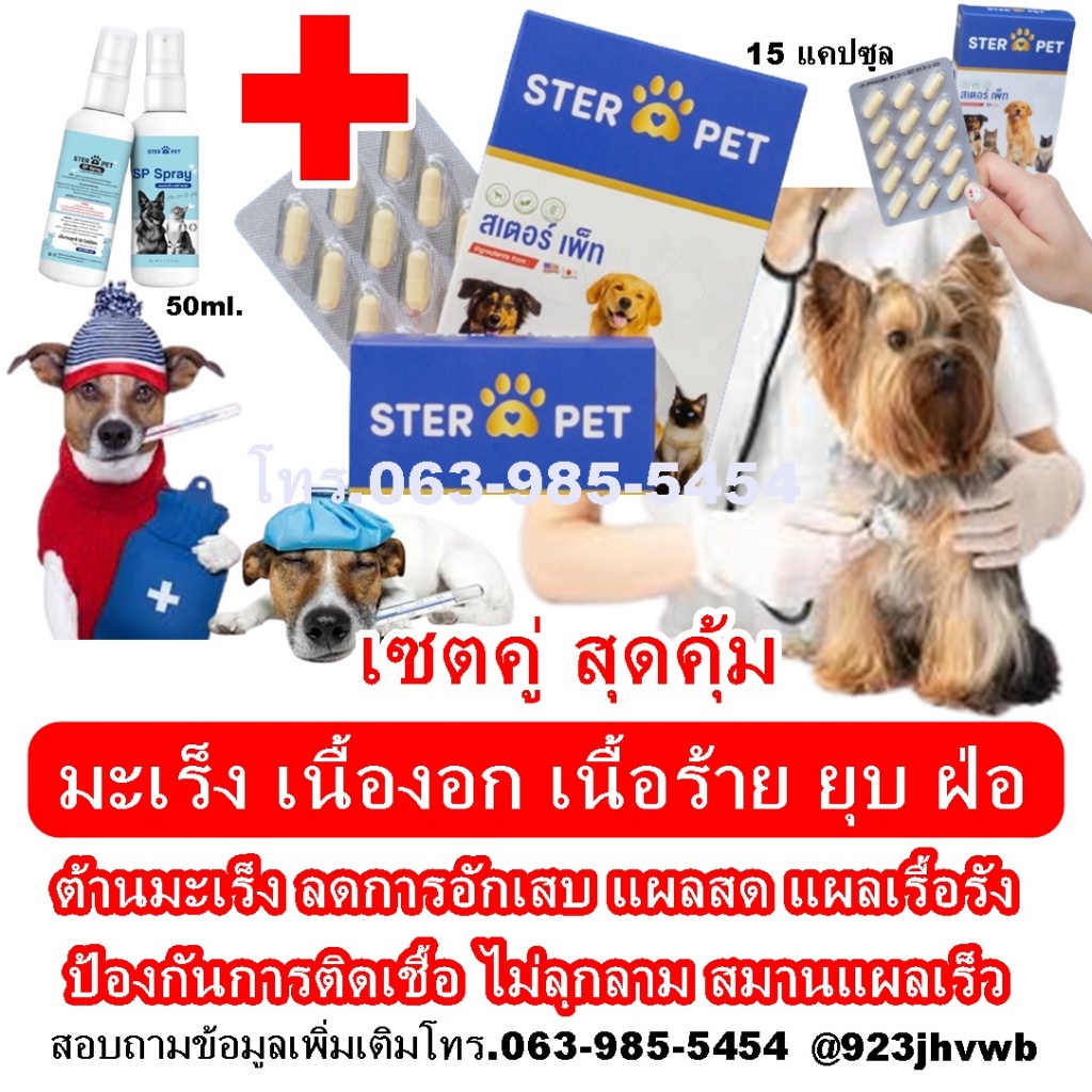 STER PET (สเตอร์ เพ็ท) 🐶😻อาหารเสริมยับยั้งมะเร็ง เสริมภูมิต้านมะเร็ง สลายก้อน ดูแลหมาแมวป่วยครบวงจร✅