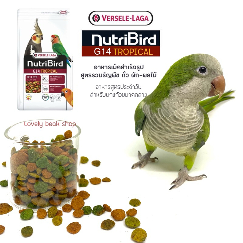 Nutribird G14 Tropical อาหารนกสำเร็จรูป สูตรรวมธัญพืช ผัก ถั่ว ผลไม้ สูตรทรอปปิคอล นกแก้วขนาดกลาง