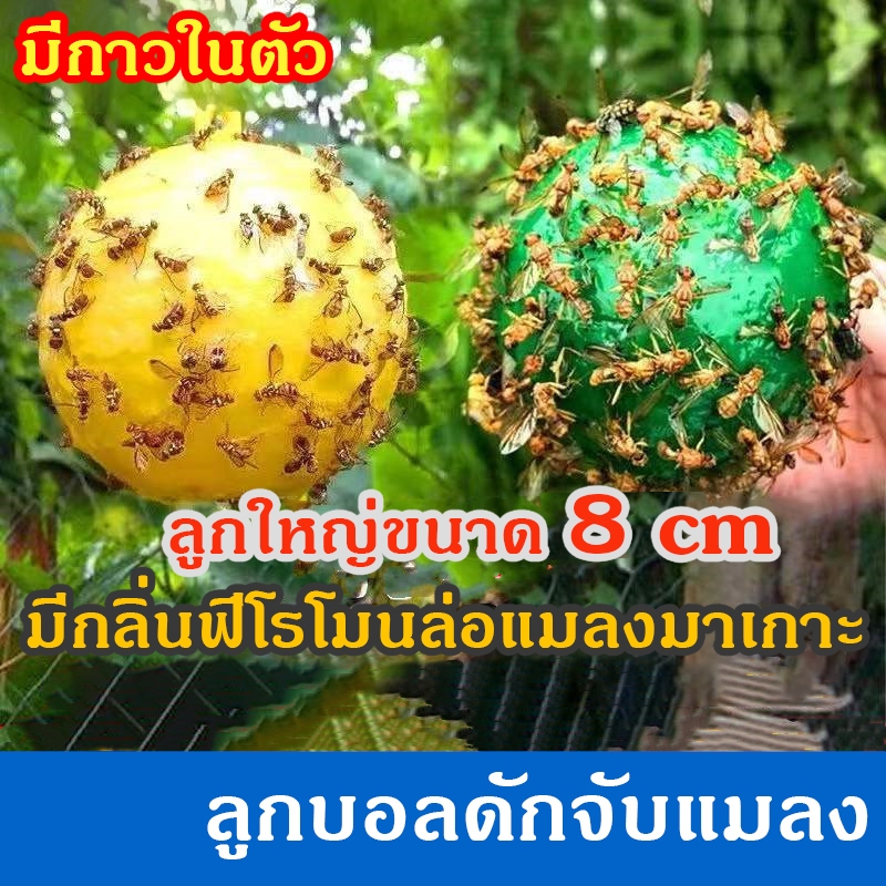 ที่ดักแมลงวัน กาวดักแมลง ไล่แมลงวันทอง ลูกบอลดักแมลง ไล่แมลง มีกลิ่นล่อแมลง