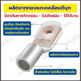 🇹🇭 ส่งเร็วจากไทย! หางปลาทรงยุโรป ทองแดงชุบดีบุก [ขายต่อชิ้น]