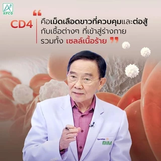 LIV Capsule ลีฟแคปซูล ( ผลิตใหม่ 06/2569) ของแถม 1 ชิ้น ต่อ 1 คำสั่งซื้อ