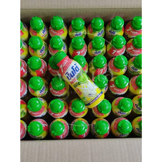 (1ลัง48ขวด ) Pinto แบบขวด น้ำยาล้างจานปินโต้ ผลิตภัณฑ์ทำความสะอาดภาชนะ ชนิดขวด ราคาประหยัด ขนาด 170มล