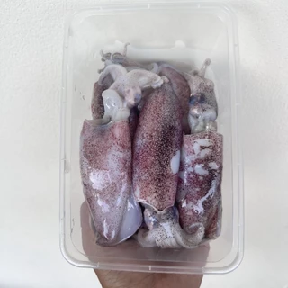 หมึกกล้วยไข่ ไซส์20-30ตัว/โล แบ่งขายกล่องละ500 กรัมและ1กิโลกรัมมีประมาณ10-15ตัวต่อกล่อง