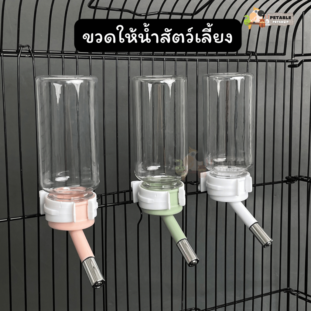 ขวดน้ำสัตว์เลี้ยงพลาสติก 120 ml แบบติดกรง มีให้เลือกหลายสี ขวดน้ำแฮมสเตอร์ ขอวดน้ำกระต่าย ขวดน้ำสำหรับสัตว์เล็ก
