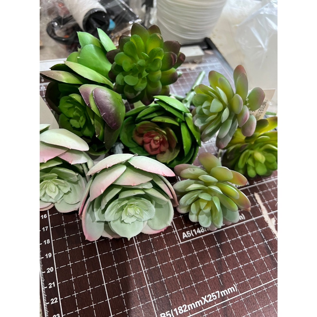 พร้อมส่งเร็ว ต้นแคสตัส  ต้นไม้ปลอมแต่งบ้าน แต่งสวน ต้นไม้ปลอมไม่มีกระถาง พืชอวบน้ำปลอม แคคตัส ต้นไม้ประดิษฐ์