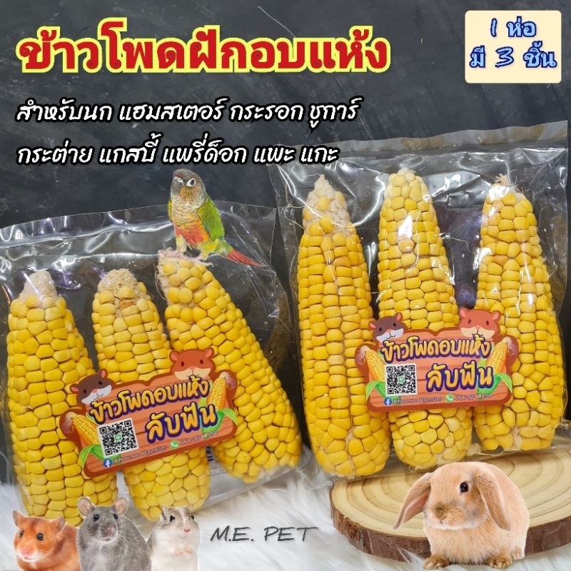 ข้าวโพดฝักอบแห้ง สำหรับนก แฮมสเตอร์ กระรอก ชูการ์ กระต่าย แกสบี้ และสัตว์อื่นๆ