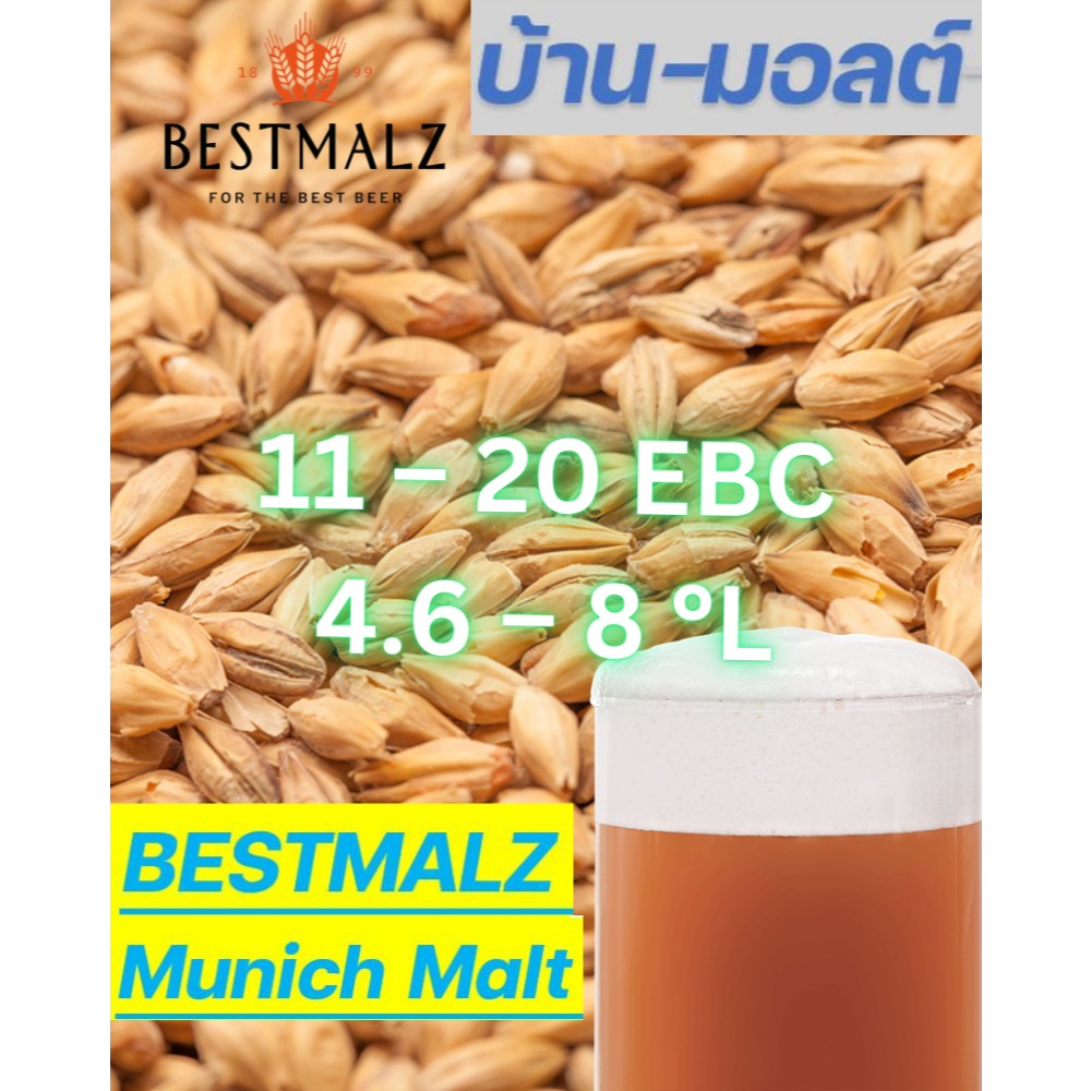 BESTMALZ Munich Malt มอลต์