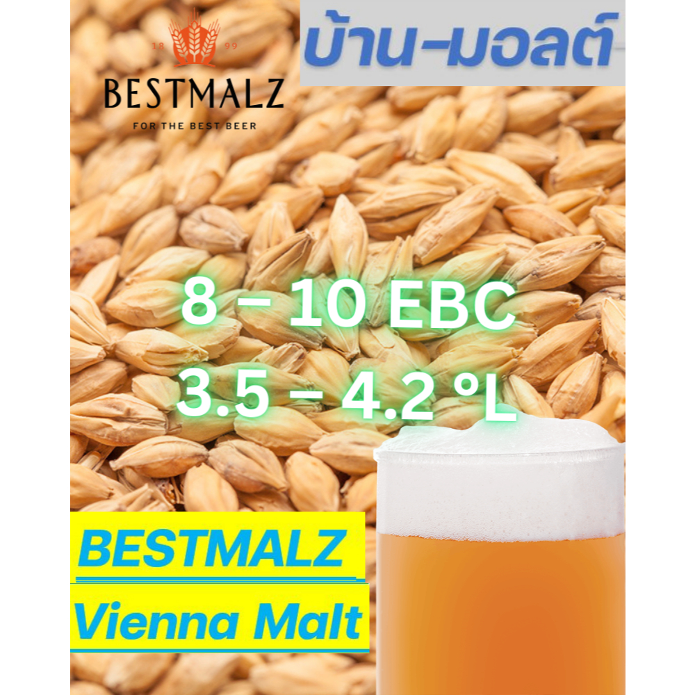 BESTMALZ Vienna Malt มอลต์