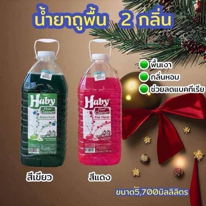 น้ำยาถูพื้นแบรนด์Haby