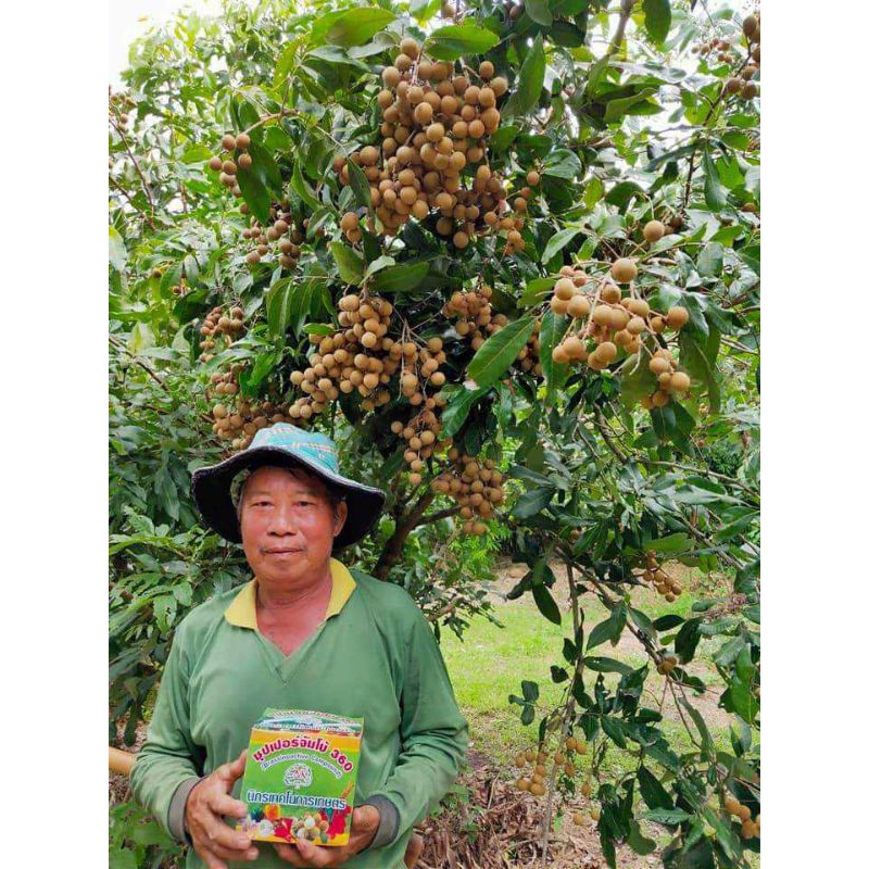 ซุปเปอร์จัมโบ้360 Amino-Gluco-Chitin ขยายผลใหญ่,โตไว,เร่งราก,ต้นแข็งแรง,ผลดก,ขั่วเหนียว ราคา ถูกที่สุด ดีลบีเคเค แกลเลอรีภาพที่ 3