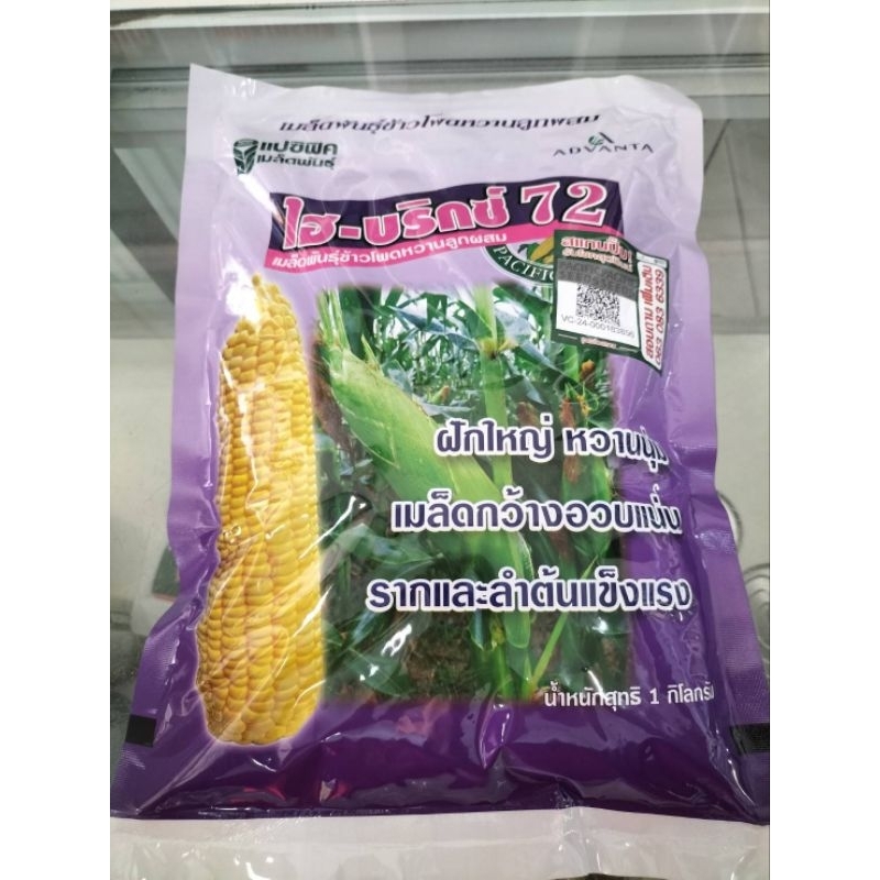 ข้าวโพดไฮ-บริกซ์72▪️ฝักใหญ่ หวานนุ่ม▪️เมล็ดกว้างอวบแน่น