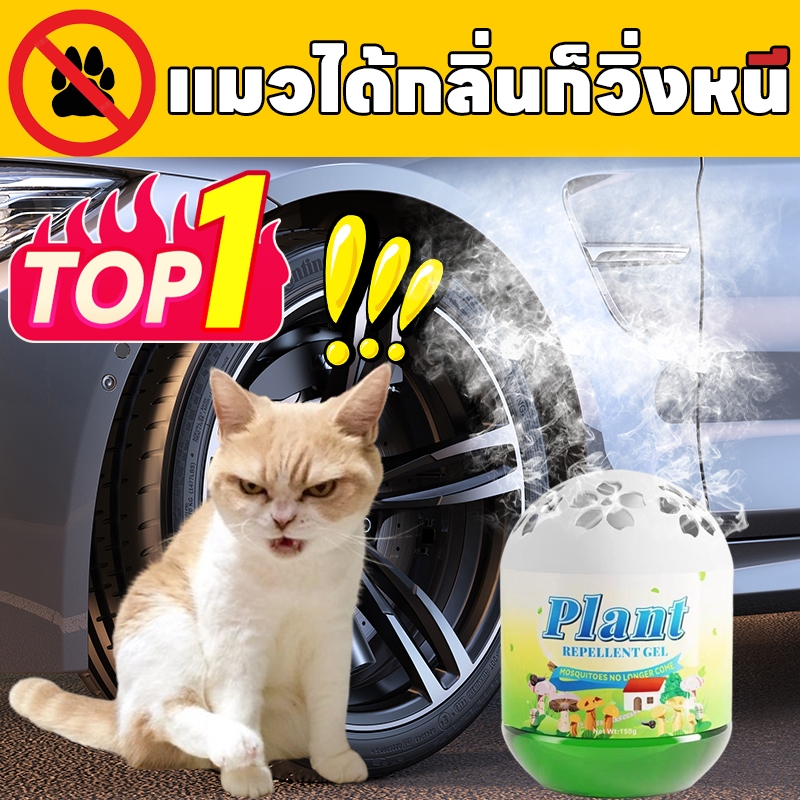 เมื่อวางลง แมวป่าหายไปทันที ZH ยาไล่แมว ไล่แมวขี้ เจลไล่แมว สูตรใหม่ 0 พิษ ขับไล่แมวทันที