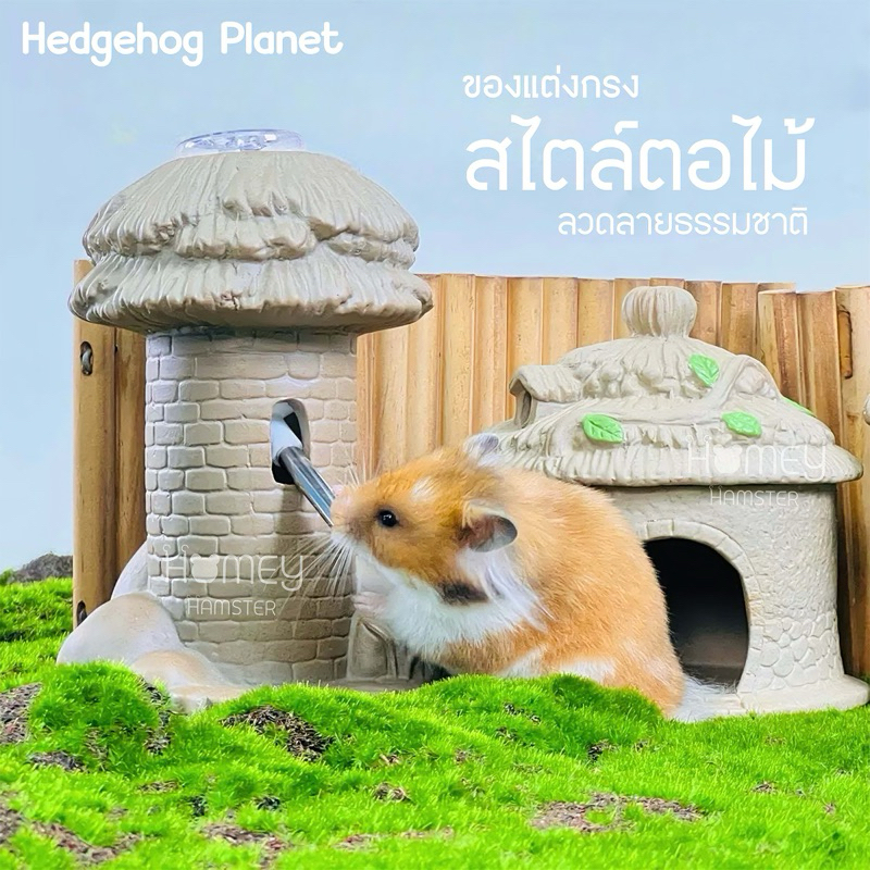 Homey Hamster บ้านหลบ ขาตั้งขวดน้ำ ถ้วยอาหาร เซรามิค Hedgehog Planet ของแต่งกรงหนู กล่องขุด millamor