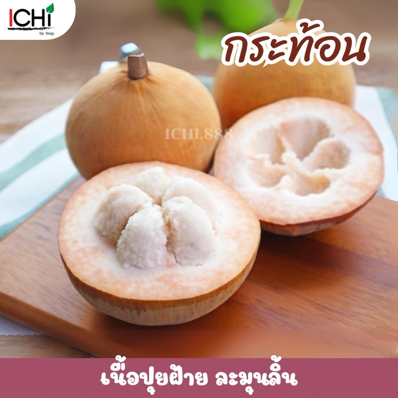 กระท้อนลูกเล็ก 1kg เนื้อปุยฝ้ายอร่อย