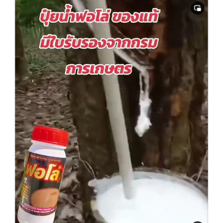 ปุ๋ยน้ำฟอโล่ 6ขวด ฟื้นฟูยางตายนึ่ง เปลือกนิ่มกรีดง่าย น้ำยางเพิ่มขึ้น หน้ายางไม่ดำ ป้องกันโรคราดำ