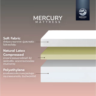 Mercury Mattress ที่นอนยางพาราอัดแท้ 100% ช่วยลดอาการปวดหลังได้ดี รุ่น PARARELAX หนา 6 นิ้ว