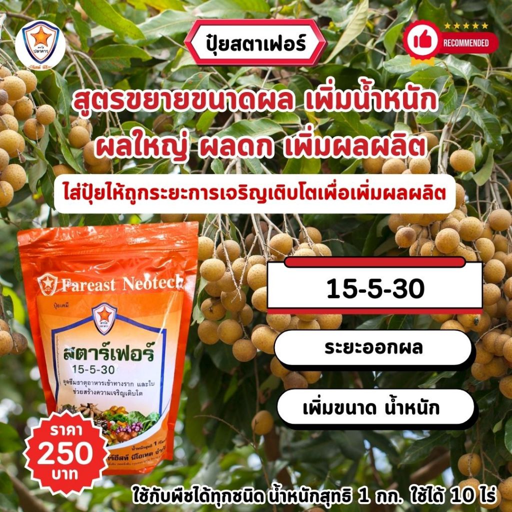 ปุ๋ยลำไย สตาร์เฟอร์ 3 สูตร ครบทุกความต้องการสำหรับต้นลำไย เร่งโต ใบเขียว เร่งราก เร่งดอก ผลใหญ่ ดกเต็มต้น ราคา ถูกที่สุด ดีลบีเคเค แกลเลอรีภาพที่ 4