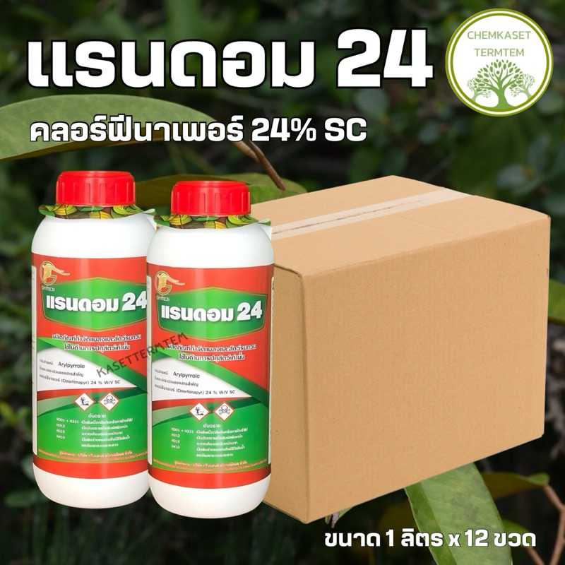 แรนดอม24🍀 1ลิตร(ยกลัง*12ขวด)คลอร์ฟีนาเพอร์24% ป้องกันกำจัดแมลง หนอนใบขาว ไร เพลี้ยไฟ หนอนเจาะต้น