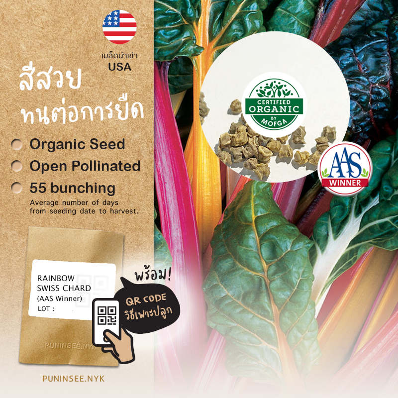 เมล็ดนำเข้า เรนโบว์ สวิสชาร์ด Rainbow Swiss Chard (Organic Seed) AAS สายพันธุ์นี้มีรางวัล