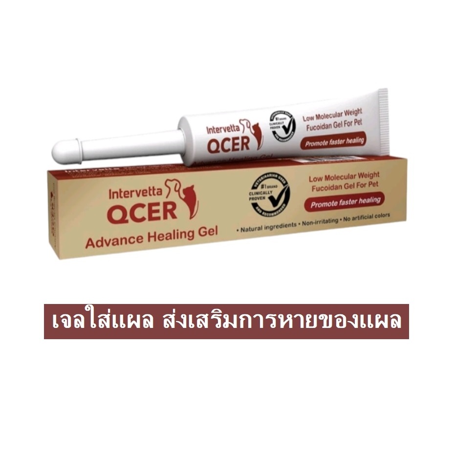Qcer Gel ชนิดเจล สำหรับทาสุนัข แมว หนู กระต่าย
